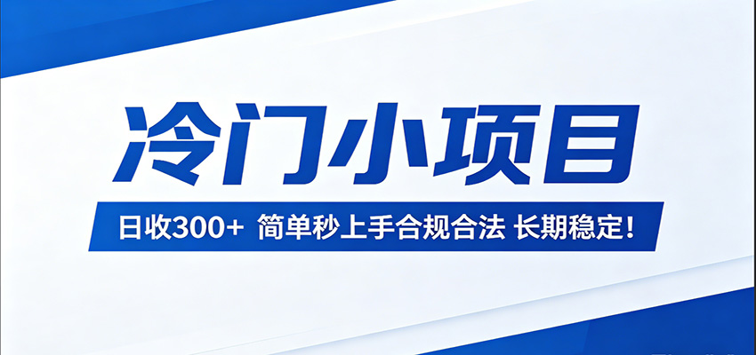 冷门小项目,日收300+,简单秒上手合规合法,长期稳定!-MFXUI中国站