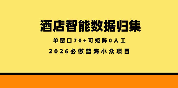 酒店智能数据归集,小众蓝海已经稳定半年之久,单窗口70+零成本矩阵开干【揭秘】-MFXUI中国站