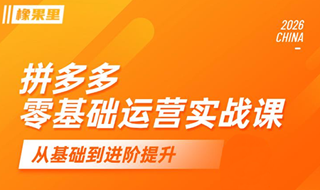 仙道电商·拼多多零基础运营实战课-MFXUI中国站