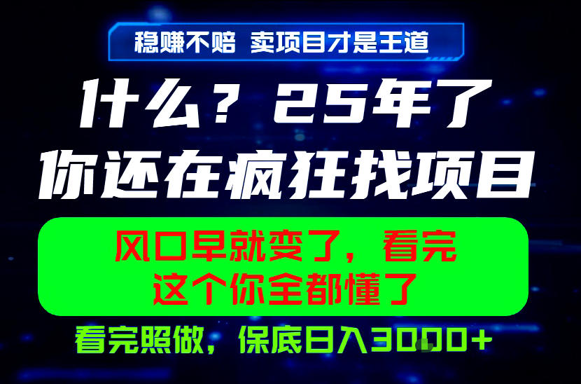 26年，请不要疯狂的找项目做了！卖项目才是真的稳賺不赔，看完照做，保底日入1k+【揭秘】-MFXUI中国站
