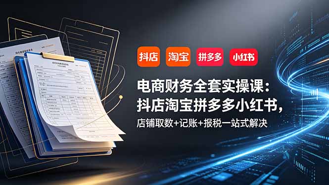 电商财务全套实操课：抖店淘宝拼多多小红书，店铺取数+记账+报税一站式解决-MFXUI中国站