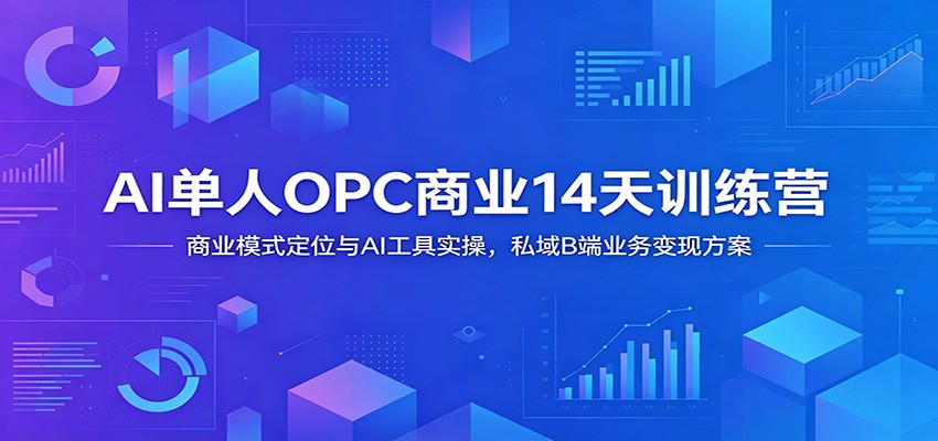 AI单人OPC商业14天训练营：商业模式定位与AI工具实操，私域B端业务变现方案-MFXUI中国站
