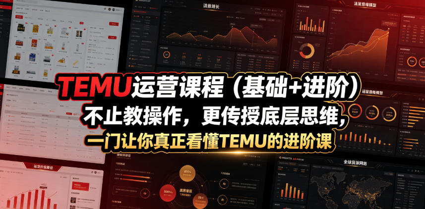 TEMU运营课程(基础+进阶)，不止教操作，更传授底层思维，一门让你真正看懂TEMU的进阶课-MFXUI中国站