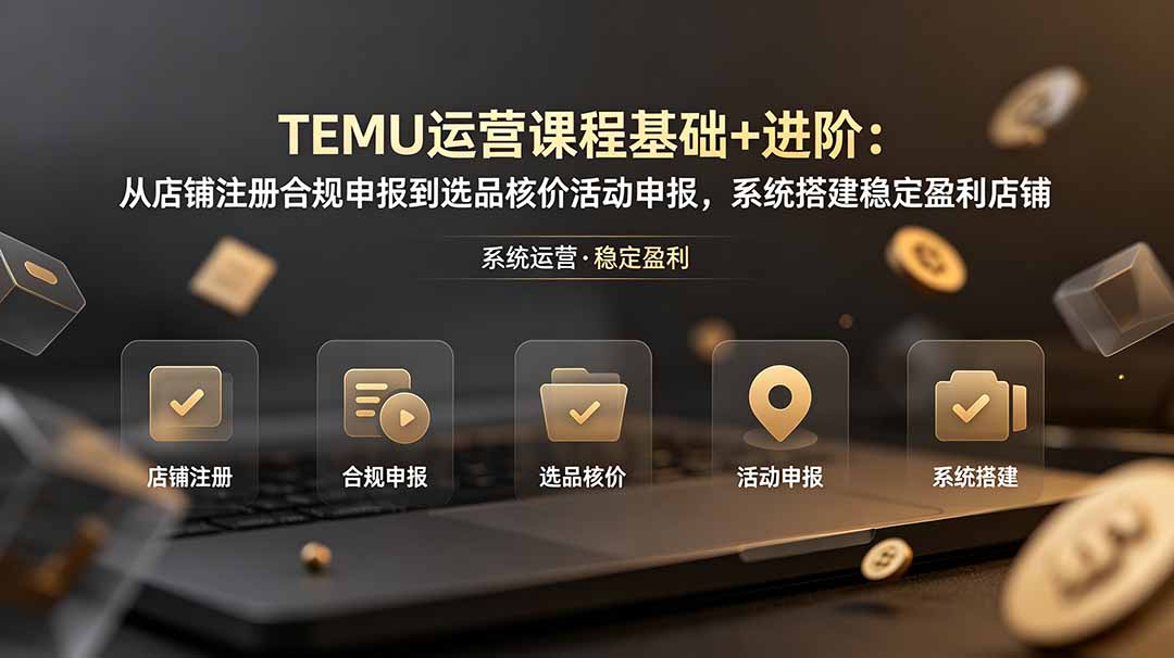 TEMU运营课程(基础+进阶-MFXUI中国站