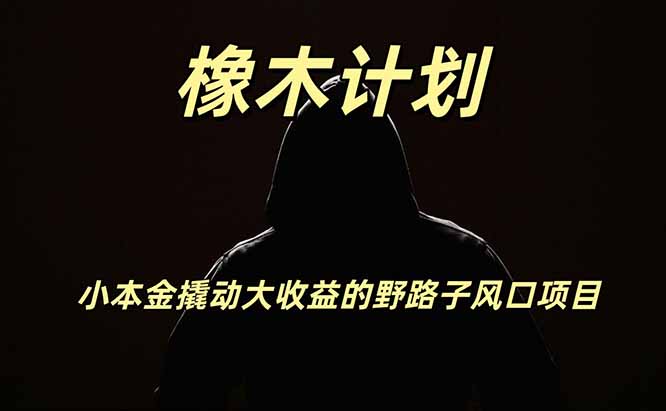 橡木计划，小投入撬动高回报的风口野路子项目，一天投入2小时左右-MFXUI中国站