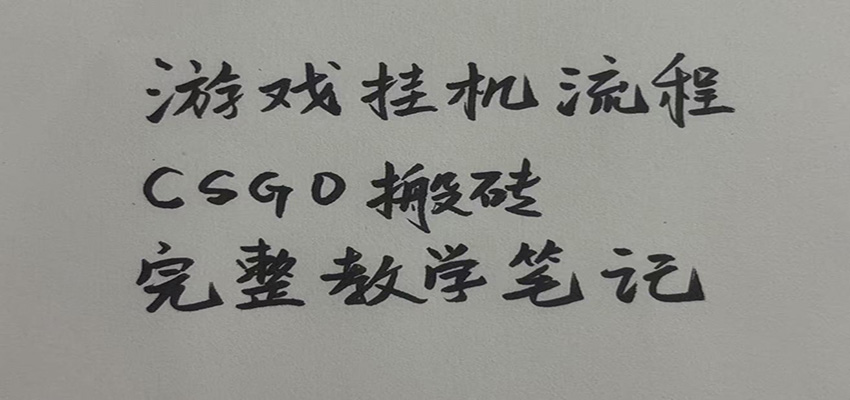 游戏挂机全流程笔记分享，CSGO游戏搬砖，小白看了当天学会见收益-MFXUI中国站
