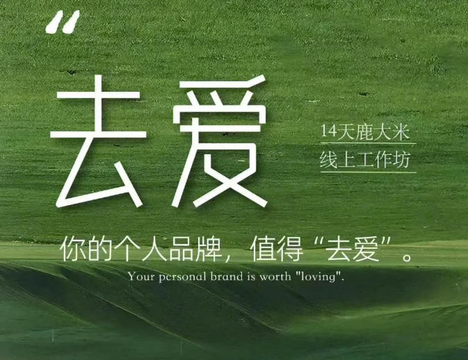 去爱14天鹿大米线上工作坊,你的个人品牌,值得“去爱”-MFXUI中国站