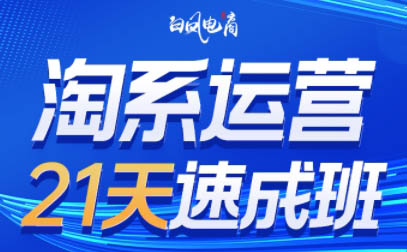 白凤电商·淘系运营21天速成班(更新8月)-MFXUI中国站