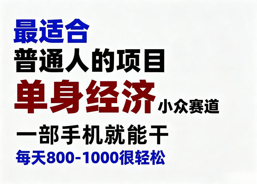 身经济小众赛道，一部手机就能干，每天搞个800-1000很轻松，最适合普通人的项目【揭秘】-MFXUI中国站