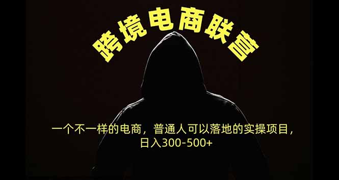 跨境电商联营，一个不一样的电商，普通人可操作日入300-500+-MFXUI中国站