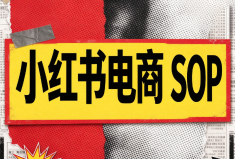 书豪必胜小红书电商sop(更新9月)-MFXUI中国站