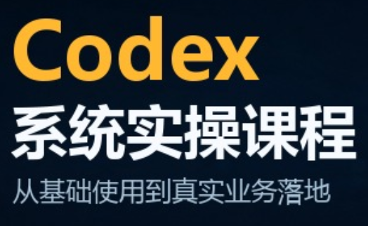 codex系统实操课程(更新10月)-MFXUI中国站