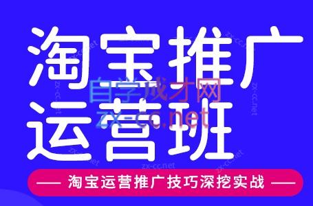美迪电商·淘宝高级运营班+推广运营班(更新10月)-MFXUI中国站