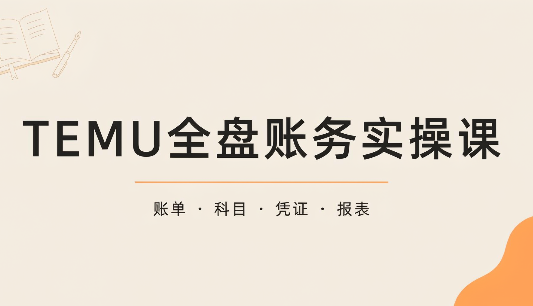 TEMU全盘账务实操课：账单导出、科目设置、利润核算-MFXUI中国站