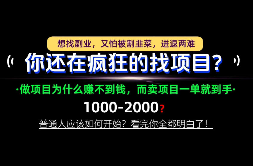 你还在疯狂的找项目？别傻了！卖项目才是真正的一本万利！怎么做，看完你全都明白！【揭秘】-MFXUI中国站
