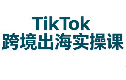彭老师·TikTok跨境出海实操课-MFXUI中国站